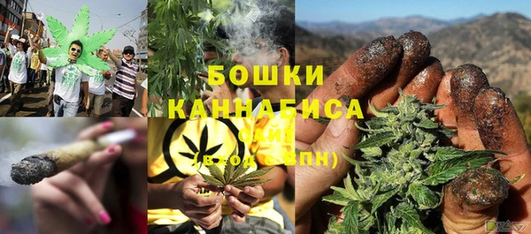 ГАЛЛЮЦИНОГЕННЫЕ ГРИБЫ Козельск