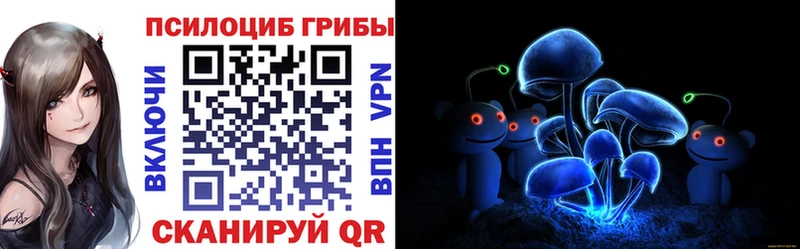 Купить  Городец  Галлюциногенные грибы мицелий 